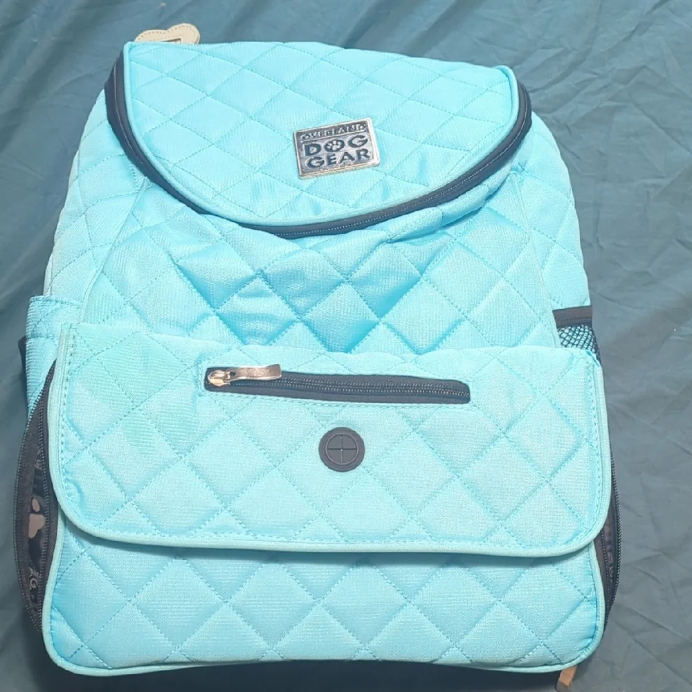 Aqua Quilted Backpack